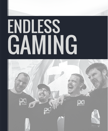 Team Endless Gaming